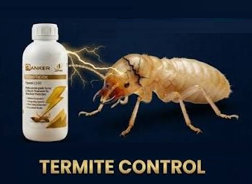 Termite Proofing